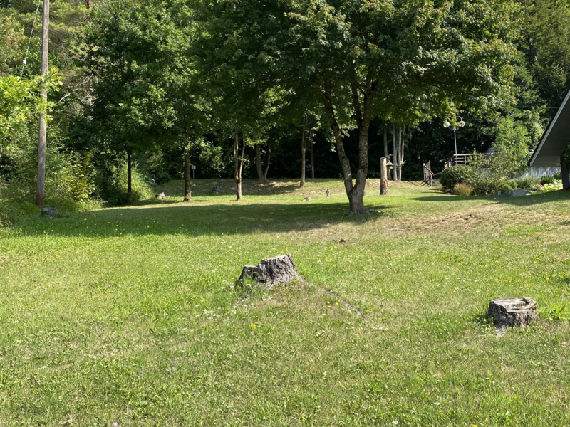 Ansicht des unbebauten Grundstücks in der Sommerhalde Walddorf