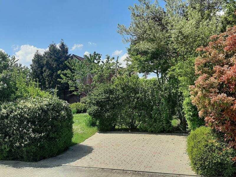 Blick auf Bauplatz im Rolf-Moll-Weg